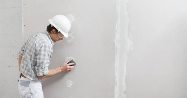 Best Residential Painting  in Orchards, WA